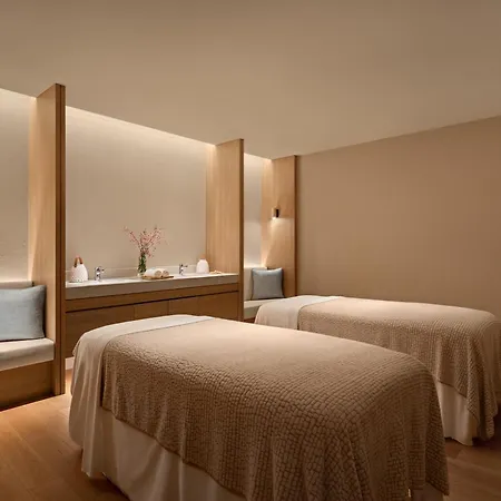 The Laurus, A Luxury Collection Resort, Singapore-2
